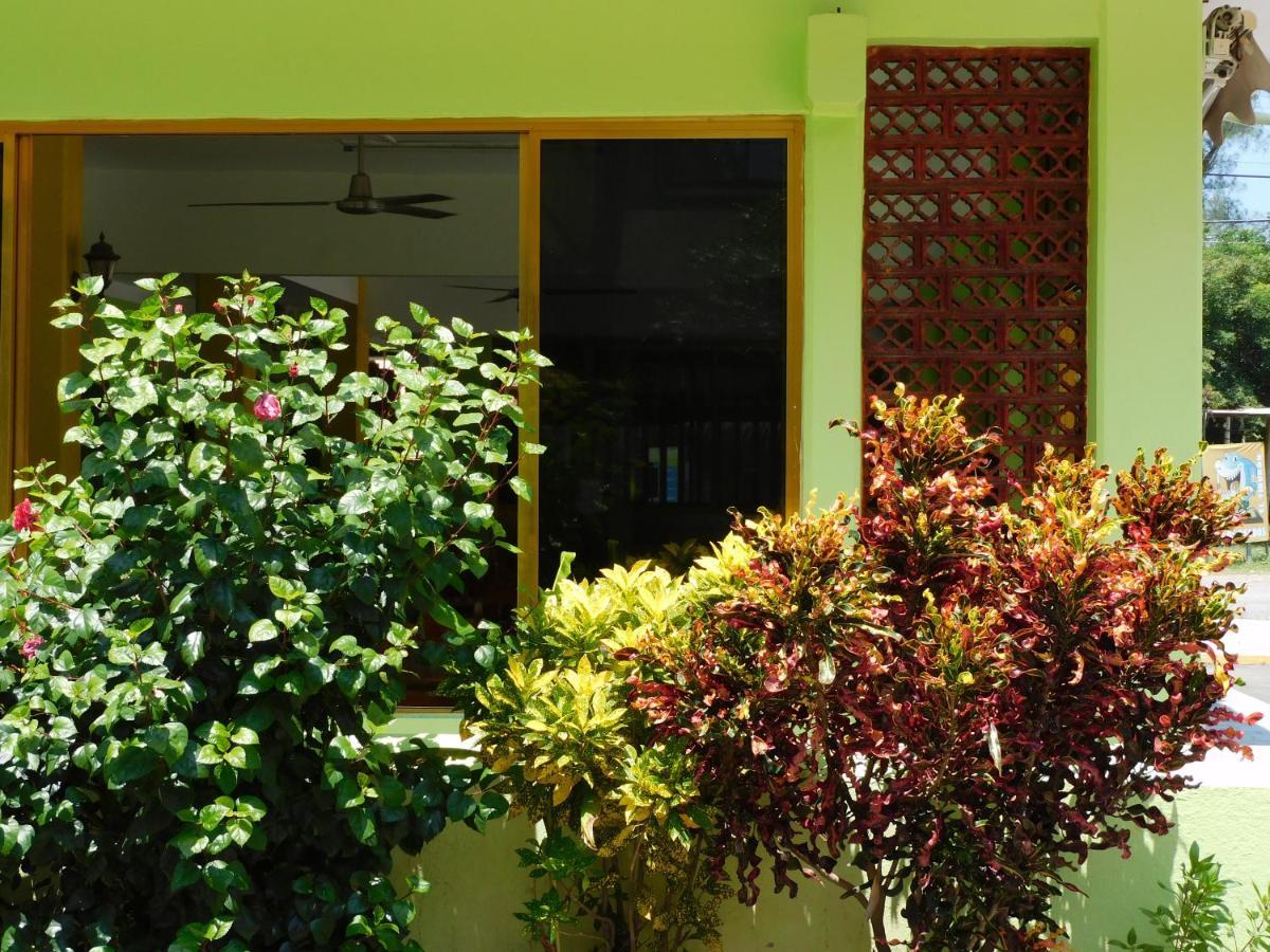 Hotel Casa De Huespedes Yoli By Rotamundos Playa Chachalacas Zewnętrze zdjęcie